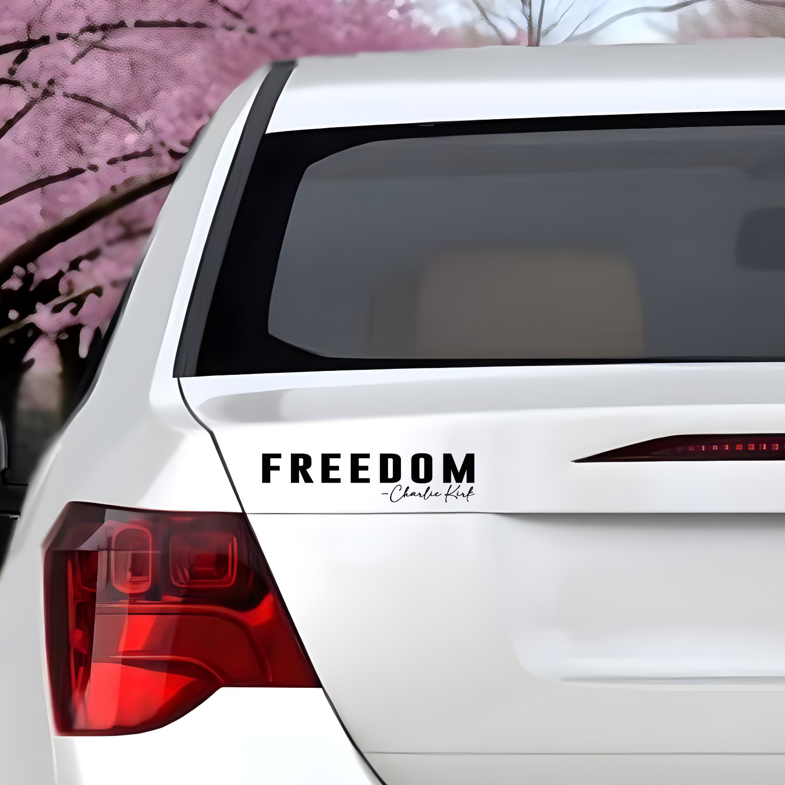 FREEDOM Charlie Kirk Decal Sticker Vinyl Bumper Car Bottle Laptop Patriotic