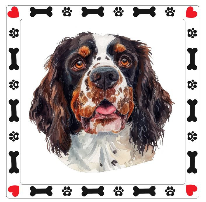 English Springer Spaniel Dog Sticker Decal A850