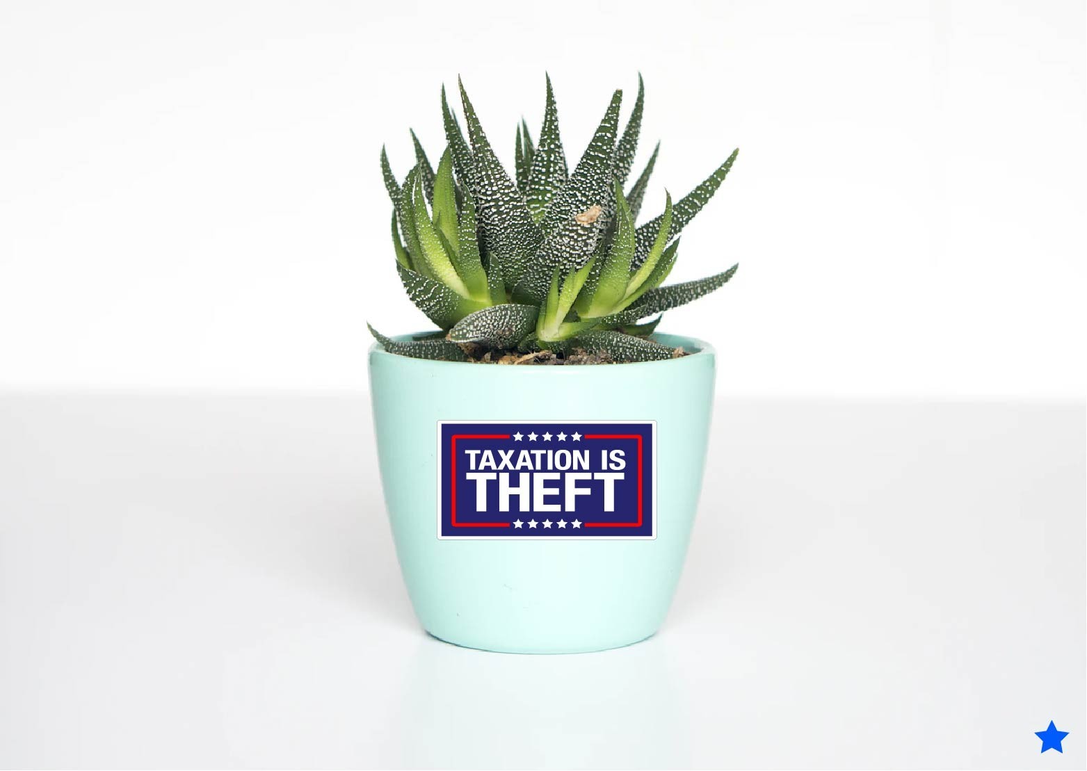 Taxation is Theft Decal Sticker No Taxes Property Income Government Trump MAGA