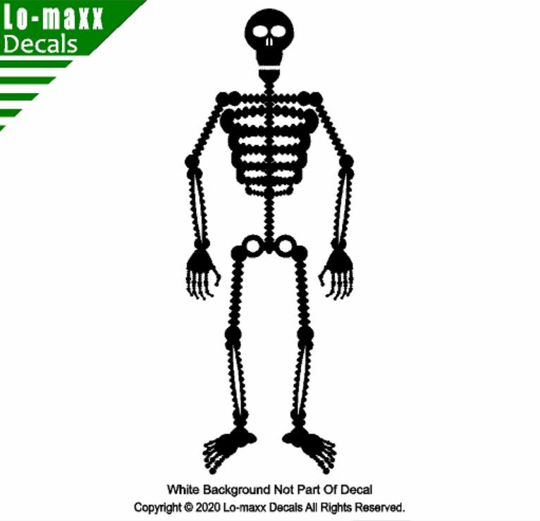 Cool Skeleton Art Original Graphic Design High Quality Die Cut Vinyl Decal