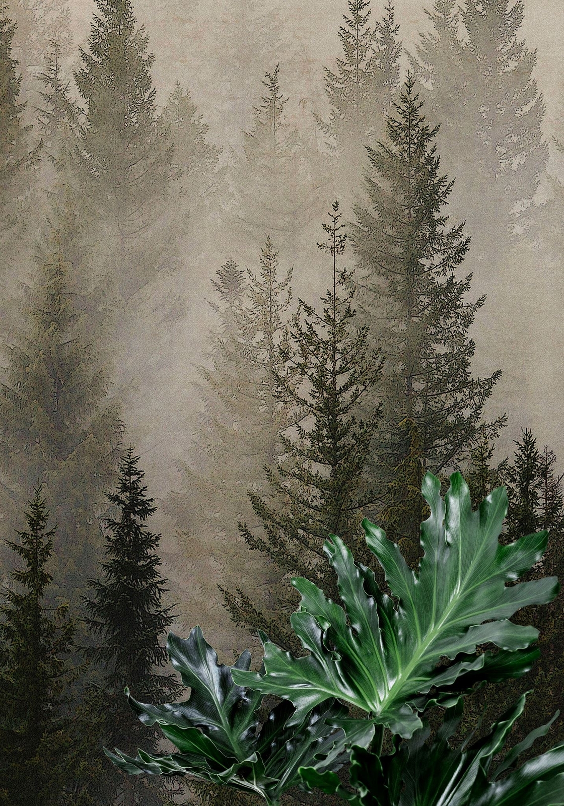 Misty Pine Tree Forest Landscape Wallpaper. Peel and Stick Wall Mural. Self Adhe