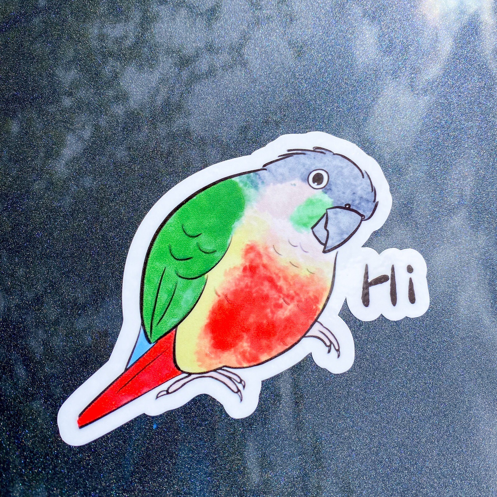 Green Cheek Conure CAR Stickers (yellow sided) Outdoor use / UV & Water Proof