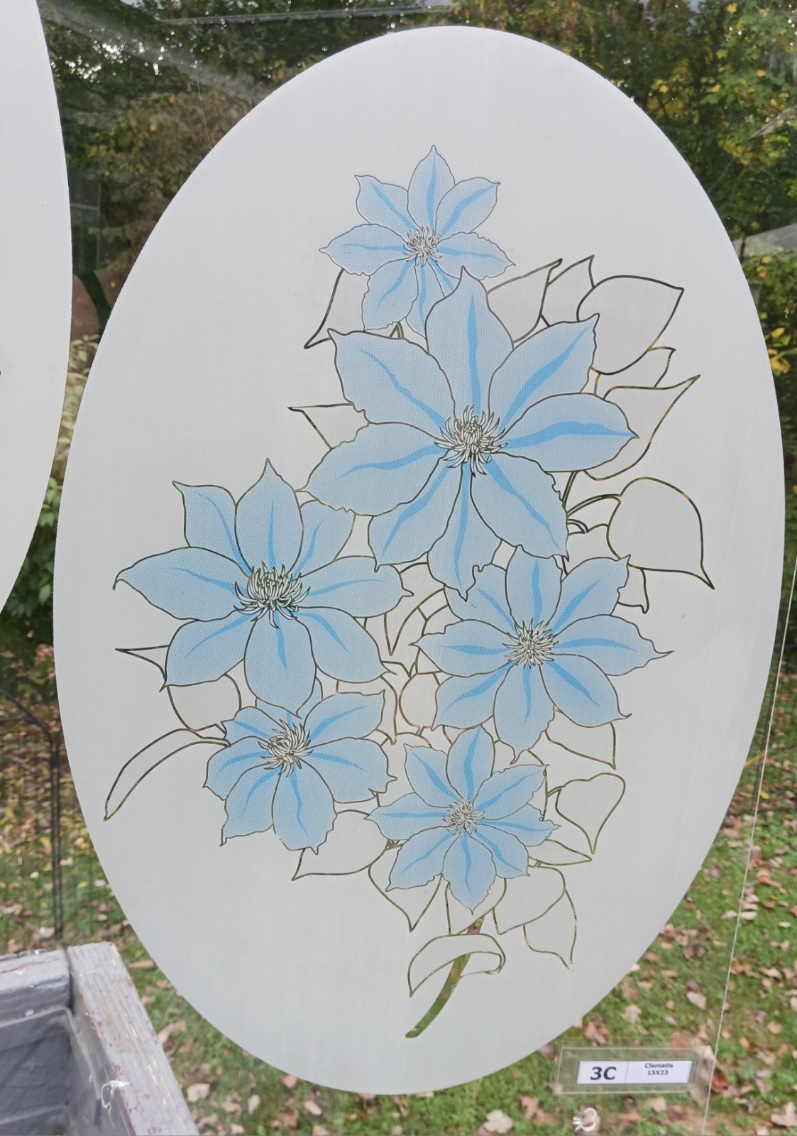 CLEMATIS COLORED Window Decal 15"x23" Etched Look Cling Removable & Reusable 3C