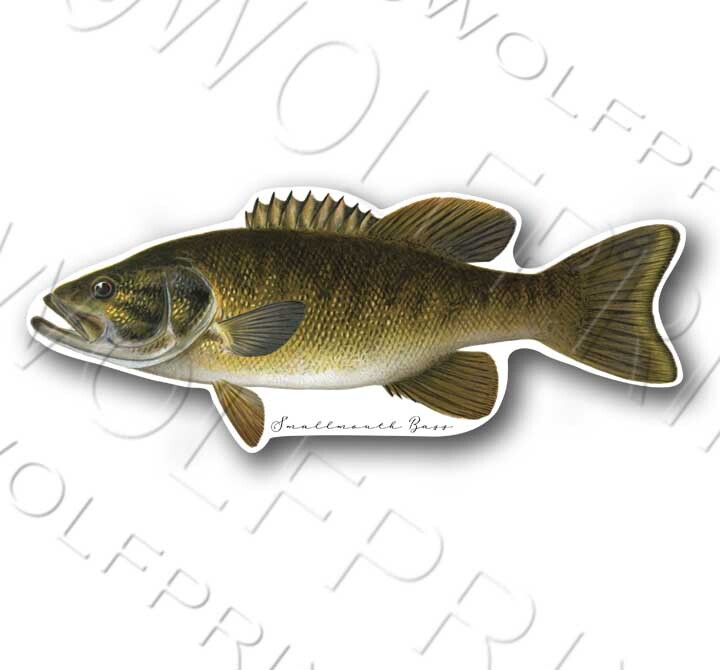 Northern Pike Fish Sticker 6" or 11" Wide Walleye Bass Boat Car Window Decal
