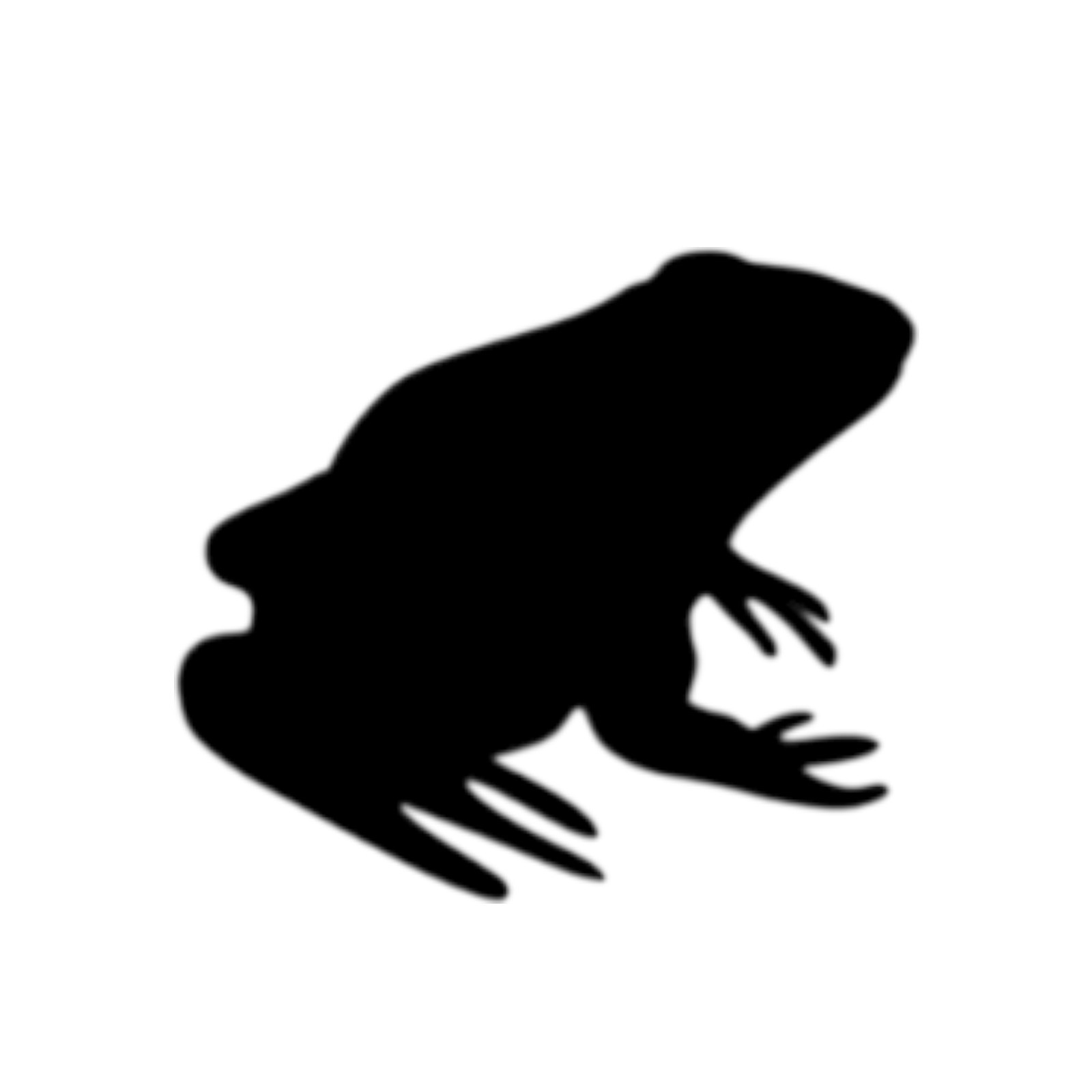 Frog Decal for car Windows Laptops most Smooth Surfaces