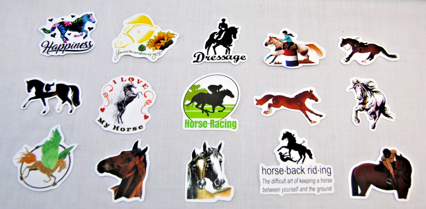 Horse Stickers for Laptop, Water Bottles Plus for Kids to Adults 200Pcs T2694