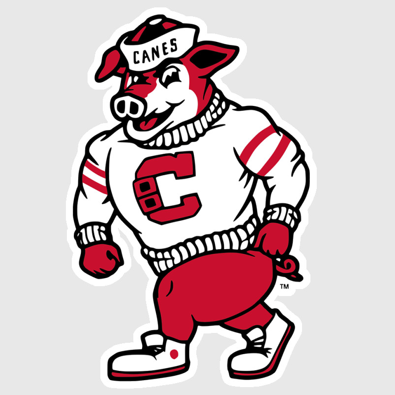 Carolina Hurricanes Vinyl Sticker Decal 13