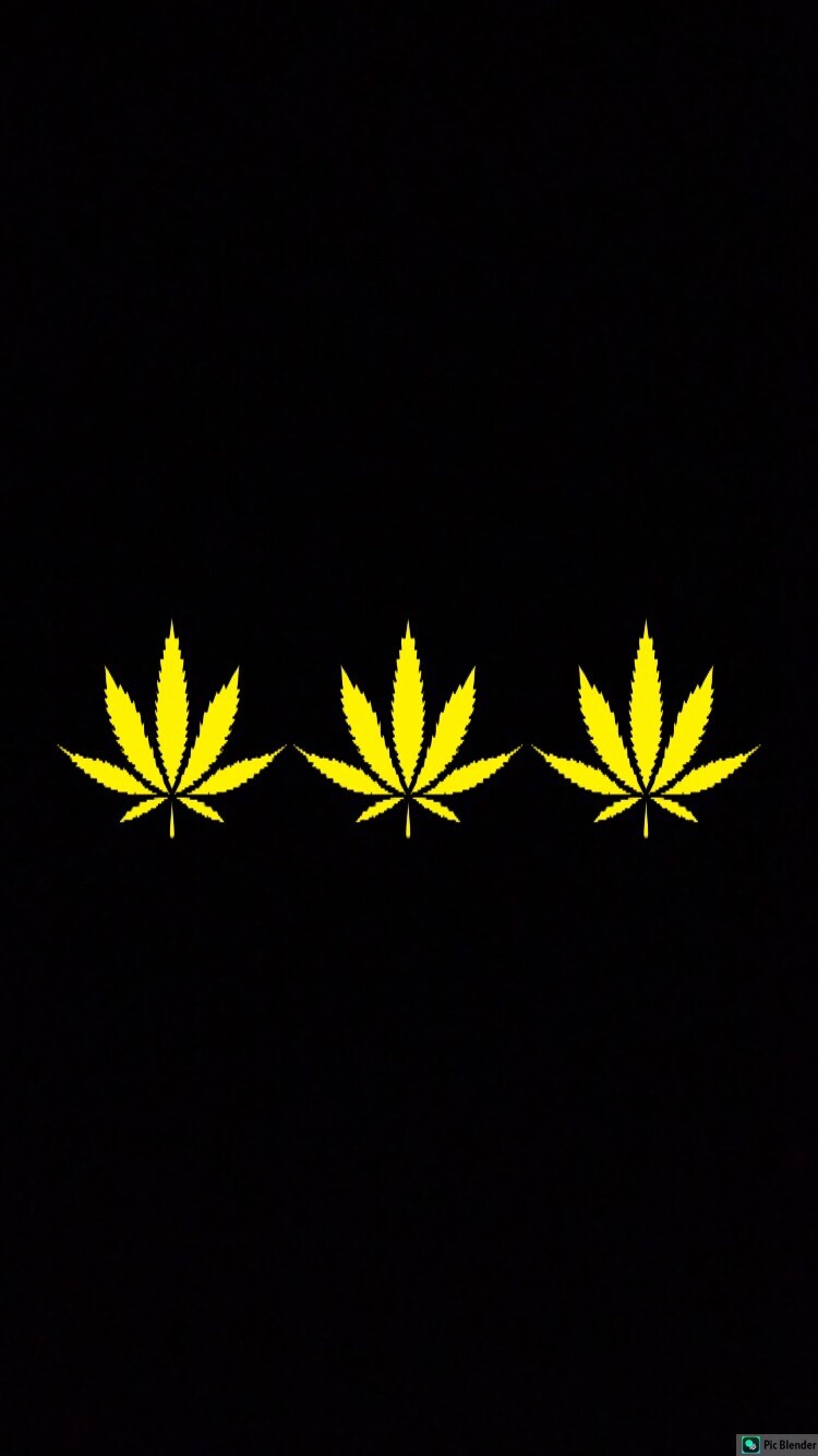 MARIJUANA POT LEAF Wholesale Lot 3 Vinyl Decal Stickers Window Bumper 3.5”