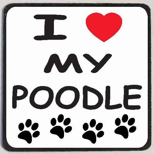 I Love My Poodle Refrigerator Magnet M133