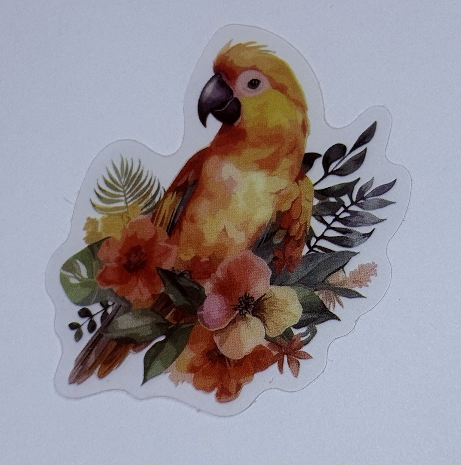 Sun Conure Parrot Sticker Animal Art Transparent Journal Decal Vinyl Tc6
