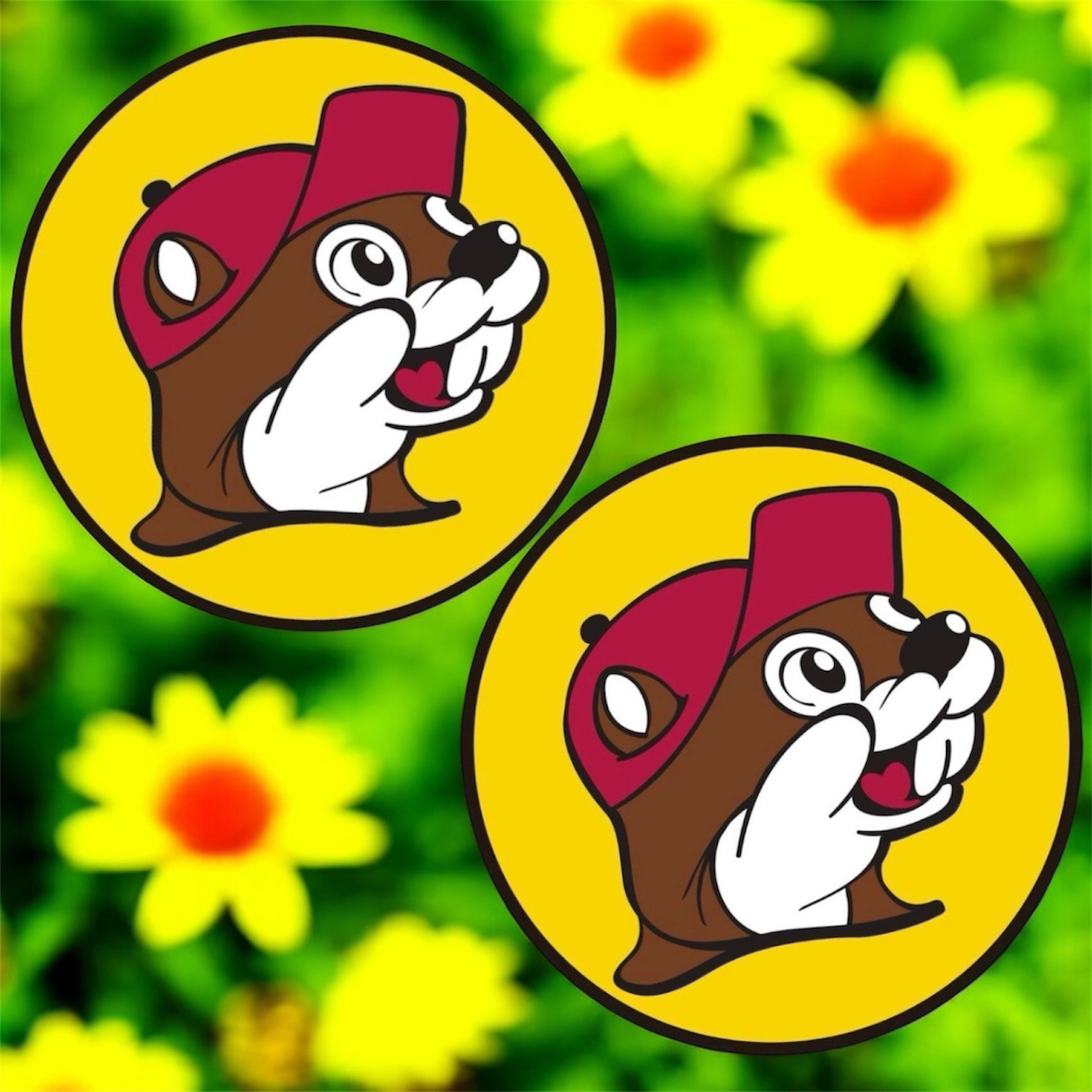 2 PACK Buc-ees Beaver Logo 3” Inch DIECUT Waterproof Vinyl Decal Sticker Set Lot