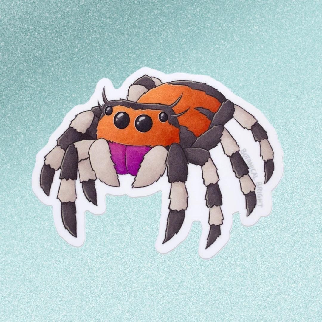 Jumping Spider Sticker – Waterproof Vinyl