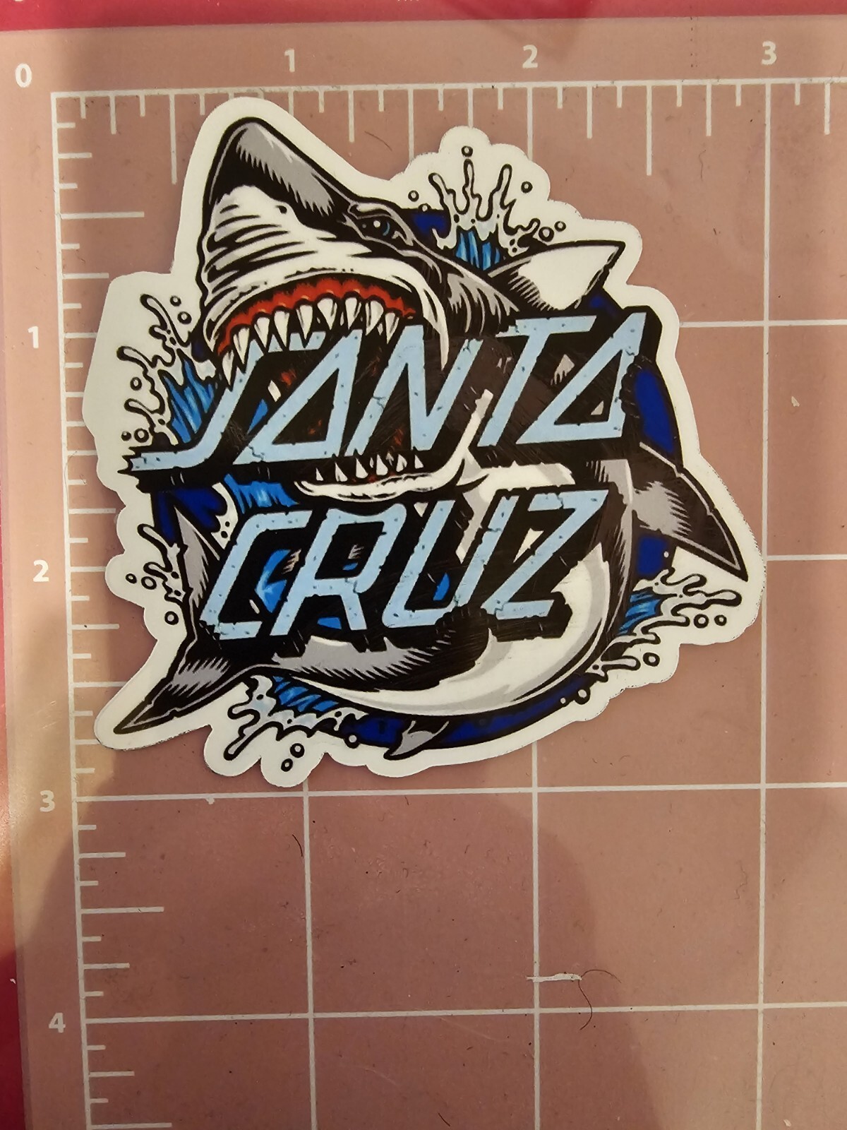 Santa Cruz Surfing Shark