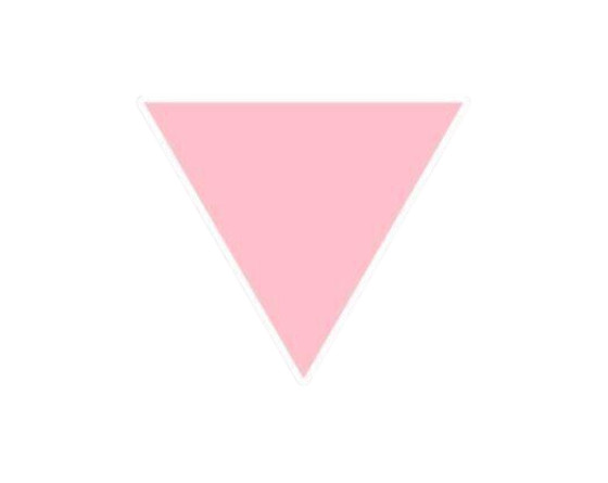 Pink Triangle Lesbian Pride Sticker Decal