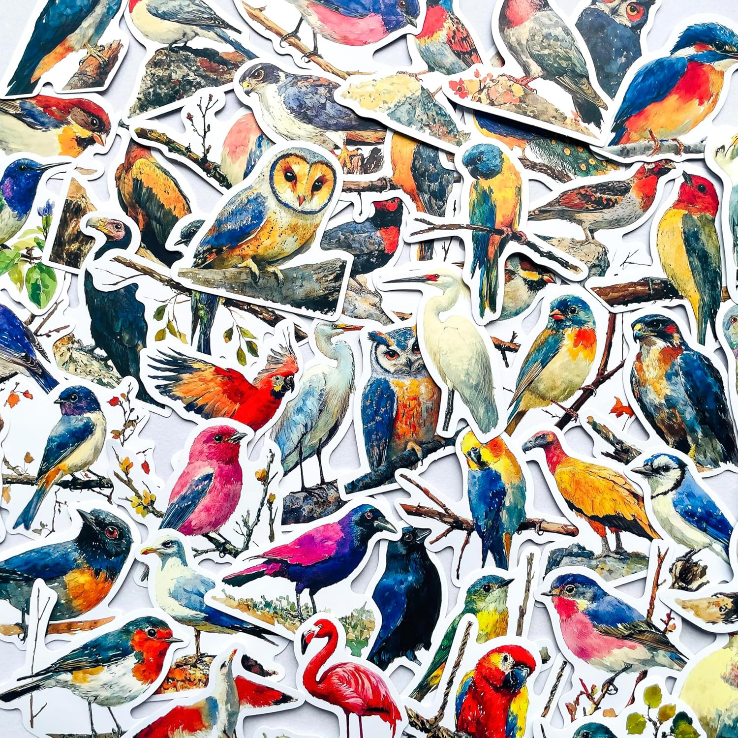 50pcs Reptile & Amphibian Stickers – Waterproof Vinyl Lizard, Gecko, Frog, Snake