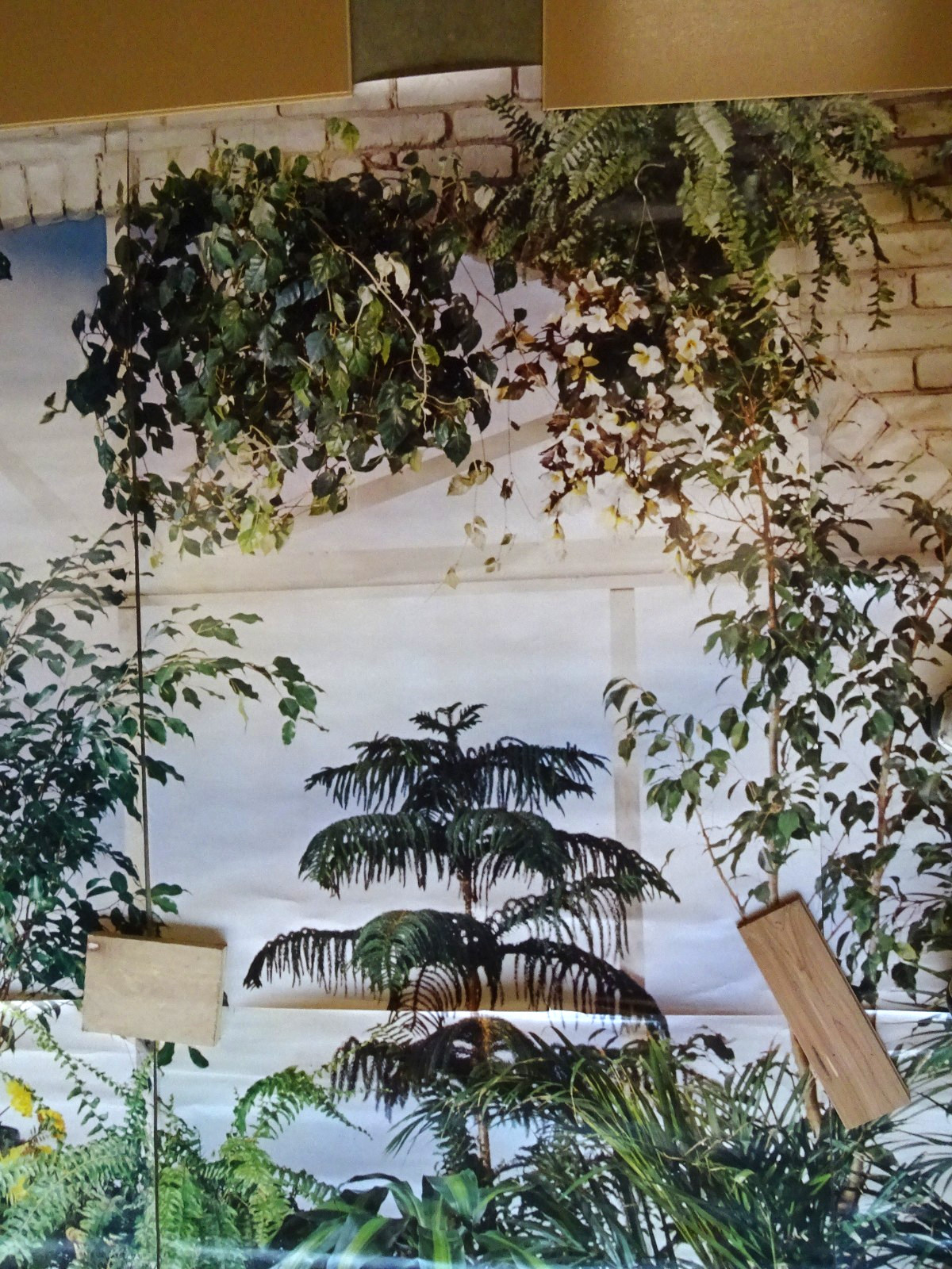 Full Wall Size Mural Tropical Plants Huge Window 8’ 8” x 12’ 6” NOS 108 Sq Ft A