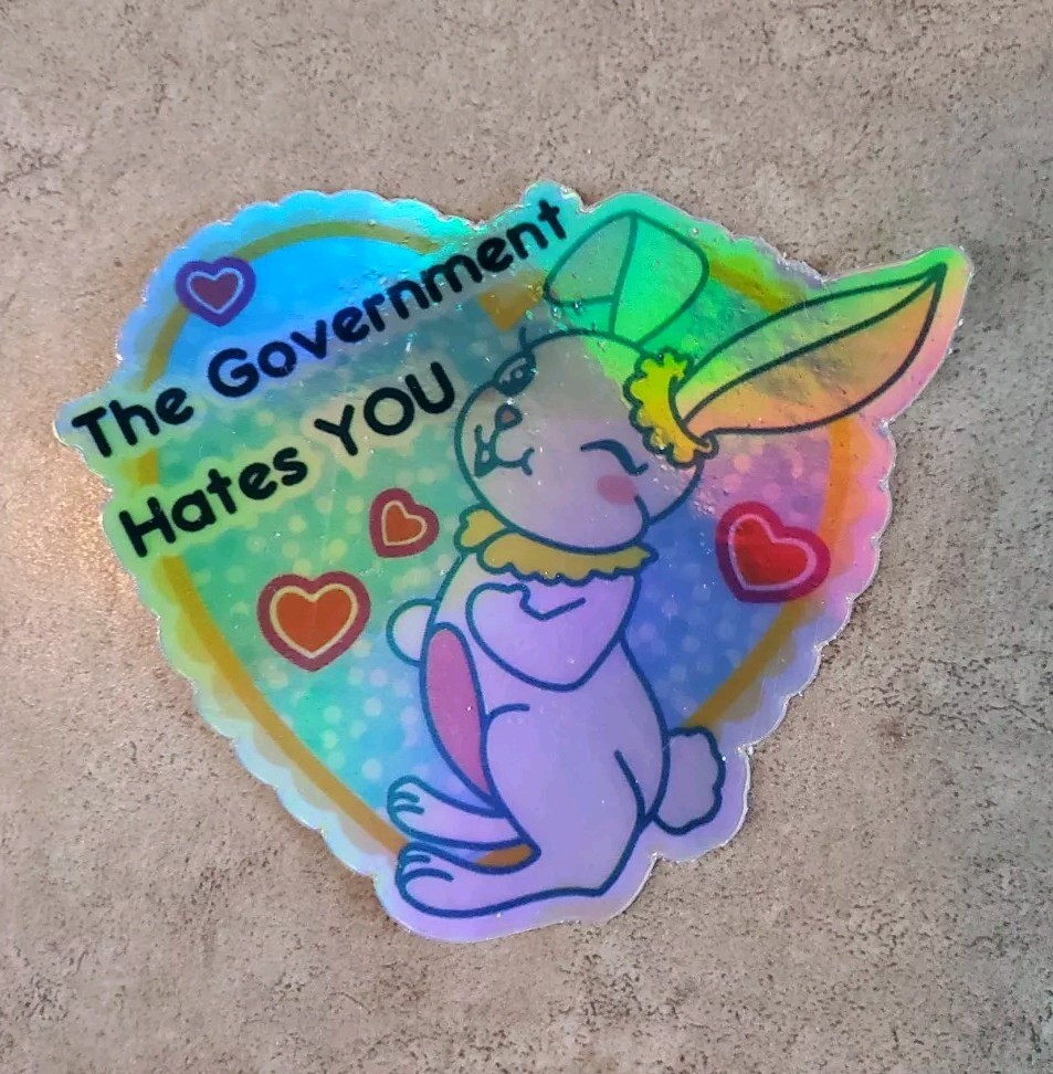 Government Hates You 🤬 Anarchy Sticker 5 Year Warranty Holographic