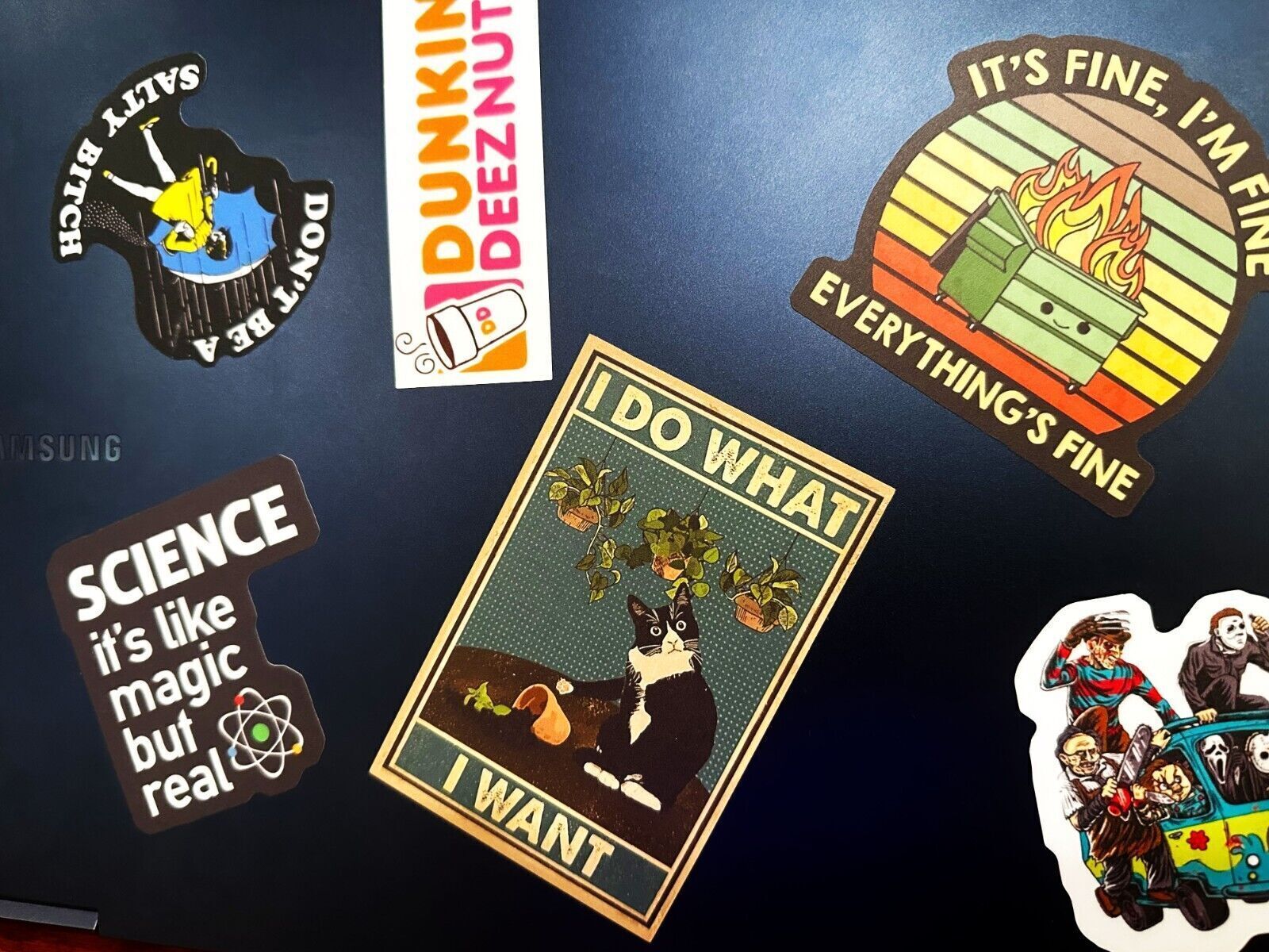 Baby Raccon Sticker Decal