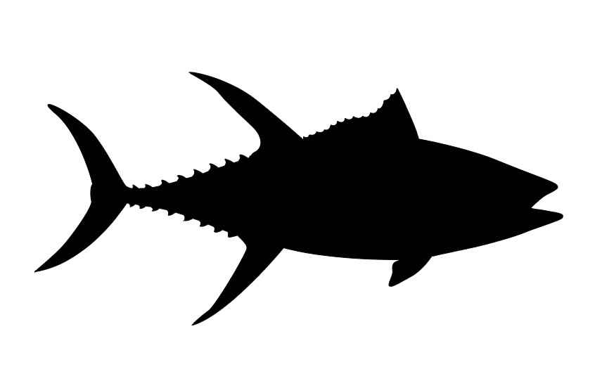 Tuna Fish Vinyl Decal Sticker Fishing Ocean Car Truck Window Laptop Water Bottle