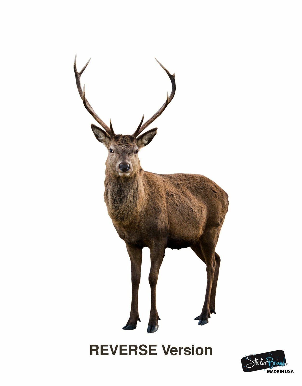 Wildlife Nature Deer Wall Decal Sticker. Posing and Staring. Large Horn Buck wit
