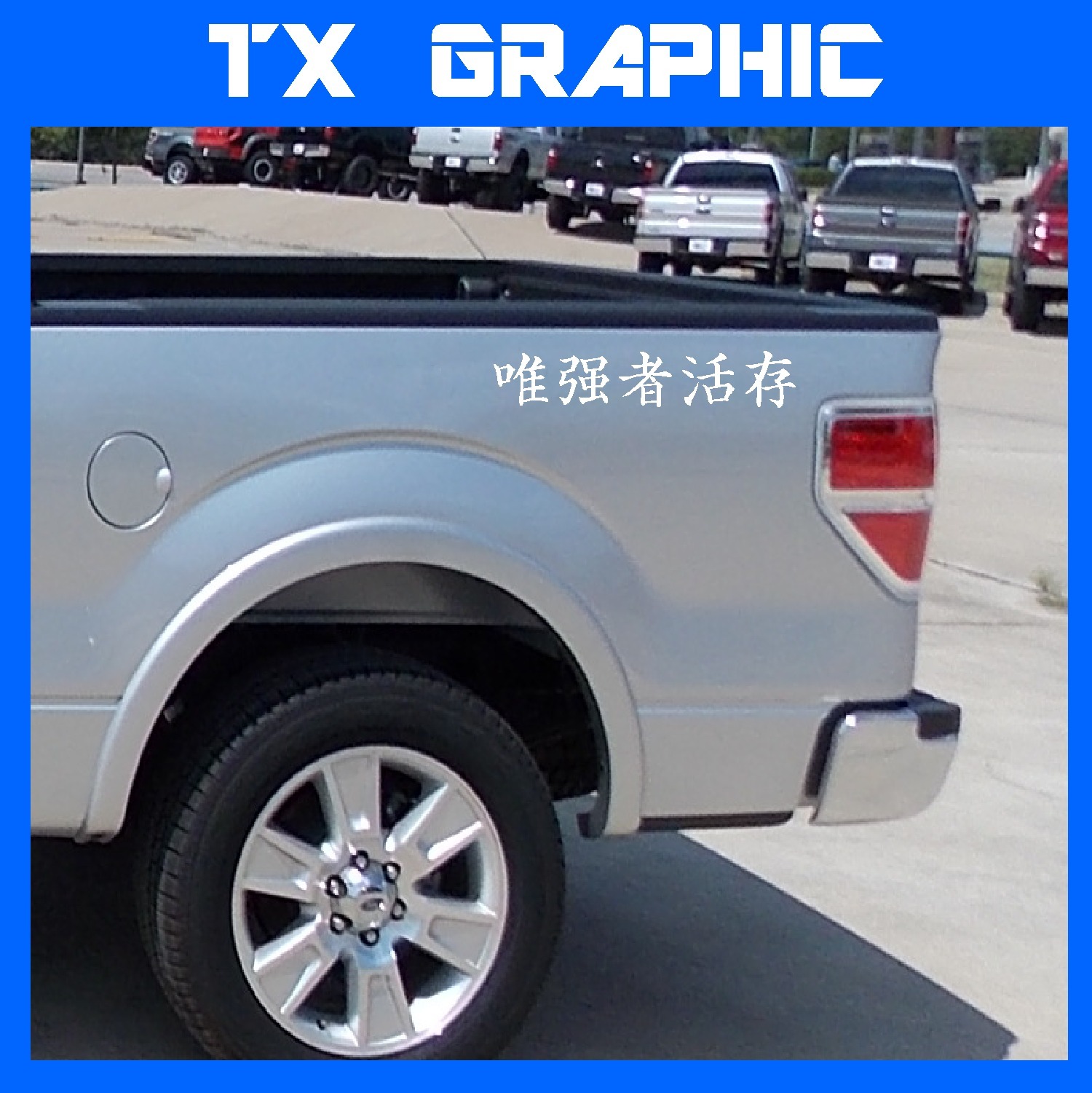 KANJI CHINESE CHARACTER STRONG SURVIVE STICKER VINYL LETTERING CUSTOM