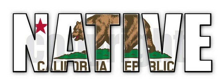 California Native Flag Stickers Flag Decals Vinyl Indoor Outdoor Stickers