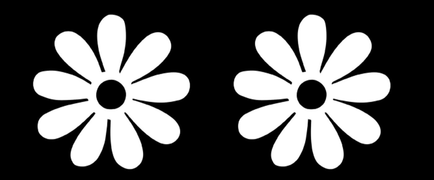 Daisy Flowers Vinyl Decal Vehicle Windows Tumblers Glass Doors Any Flat Surface