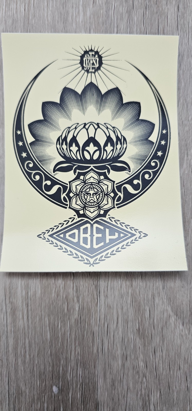 Shepard Fairy Sticker