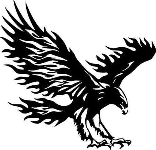 Bald Eagle Flying Bird Wall Car Truck Window Laptop Vinyl Sticker Decal