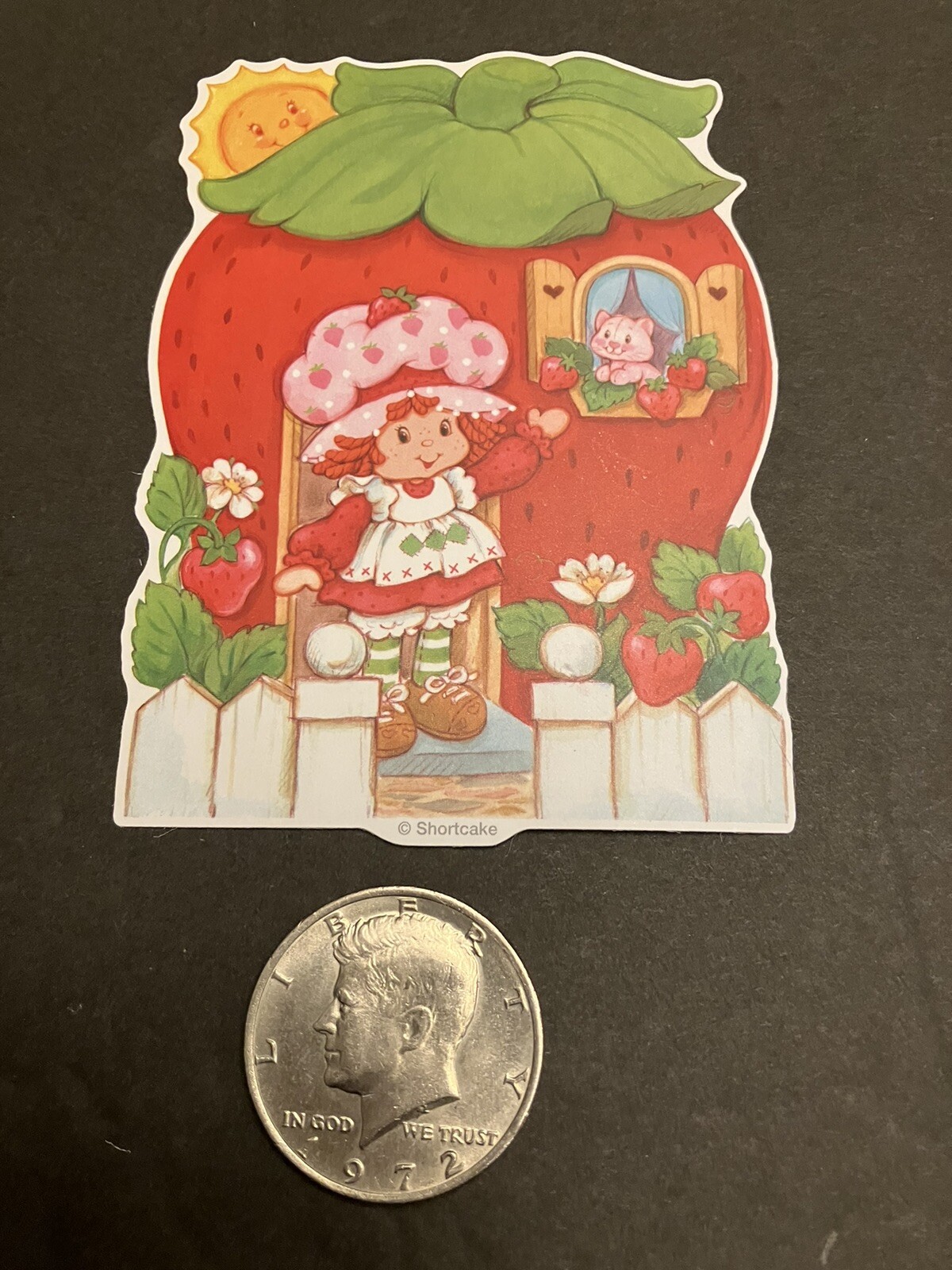 Strawberry Shortcake Matte Retro Vintage Design Stickers Pack Of 40 New