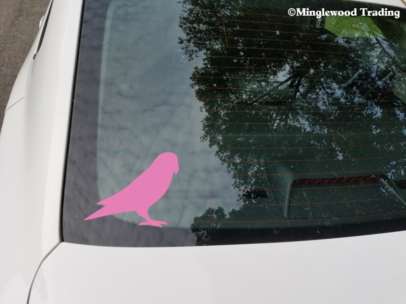 LOVEBIRD – Vinyl Sticker – Bird – Parrot – Die Cut Decal