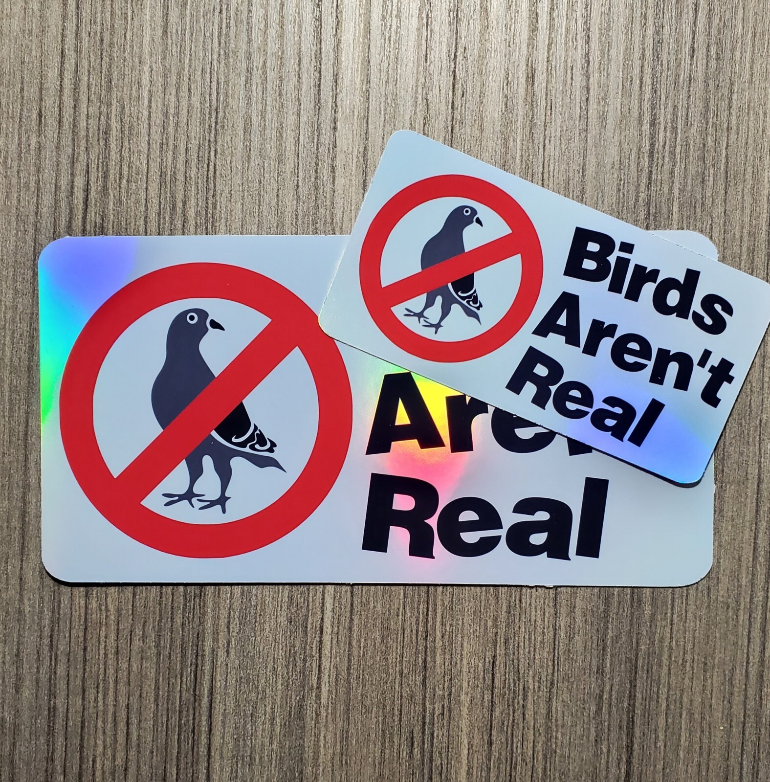 Birds Aren't Real – Laminated Waterproof Vinyl Sticker – 2 Sizes Available
