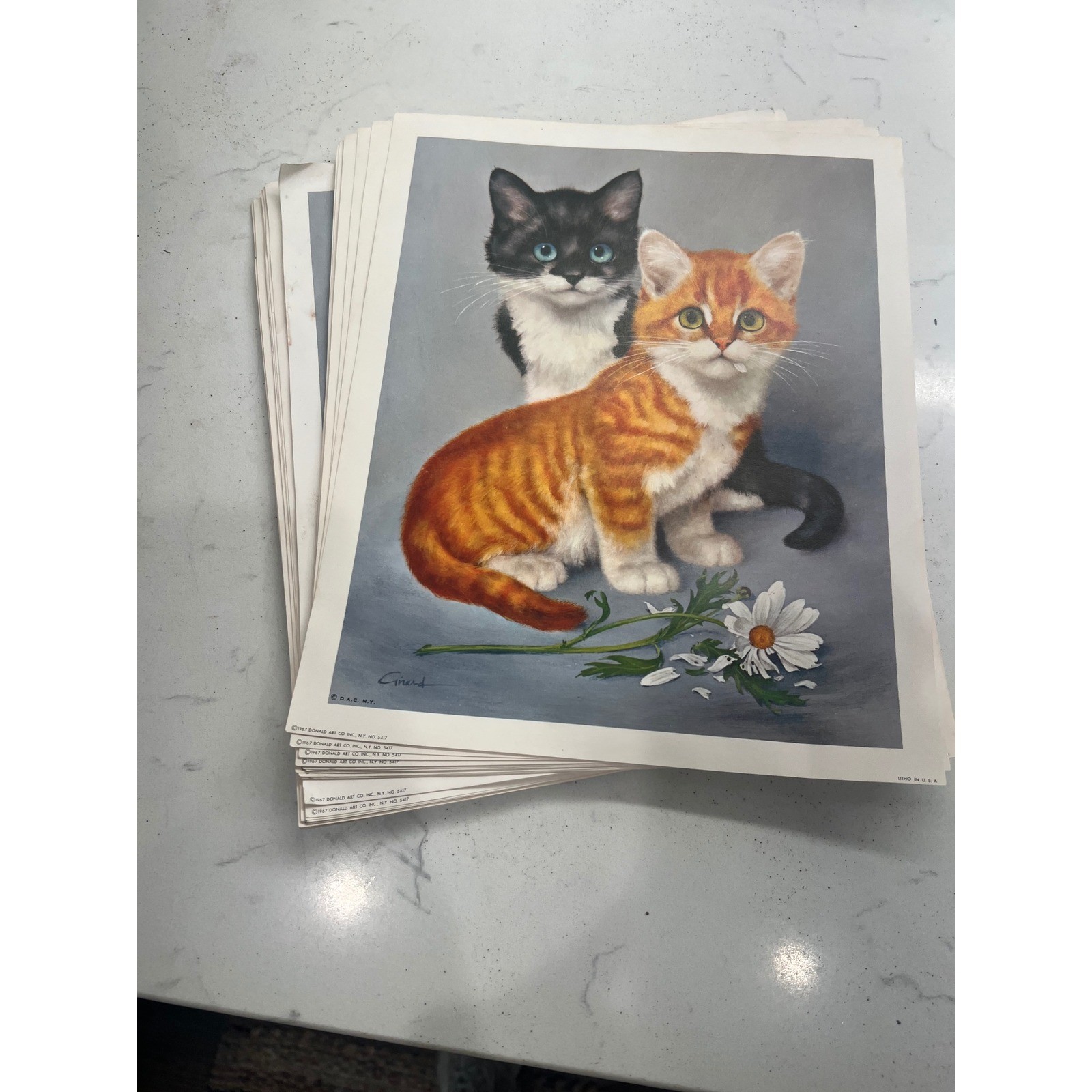 Litho Kittens DAC NY Published for Art Treasures Vintage 1967 Signed Girard