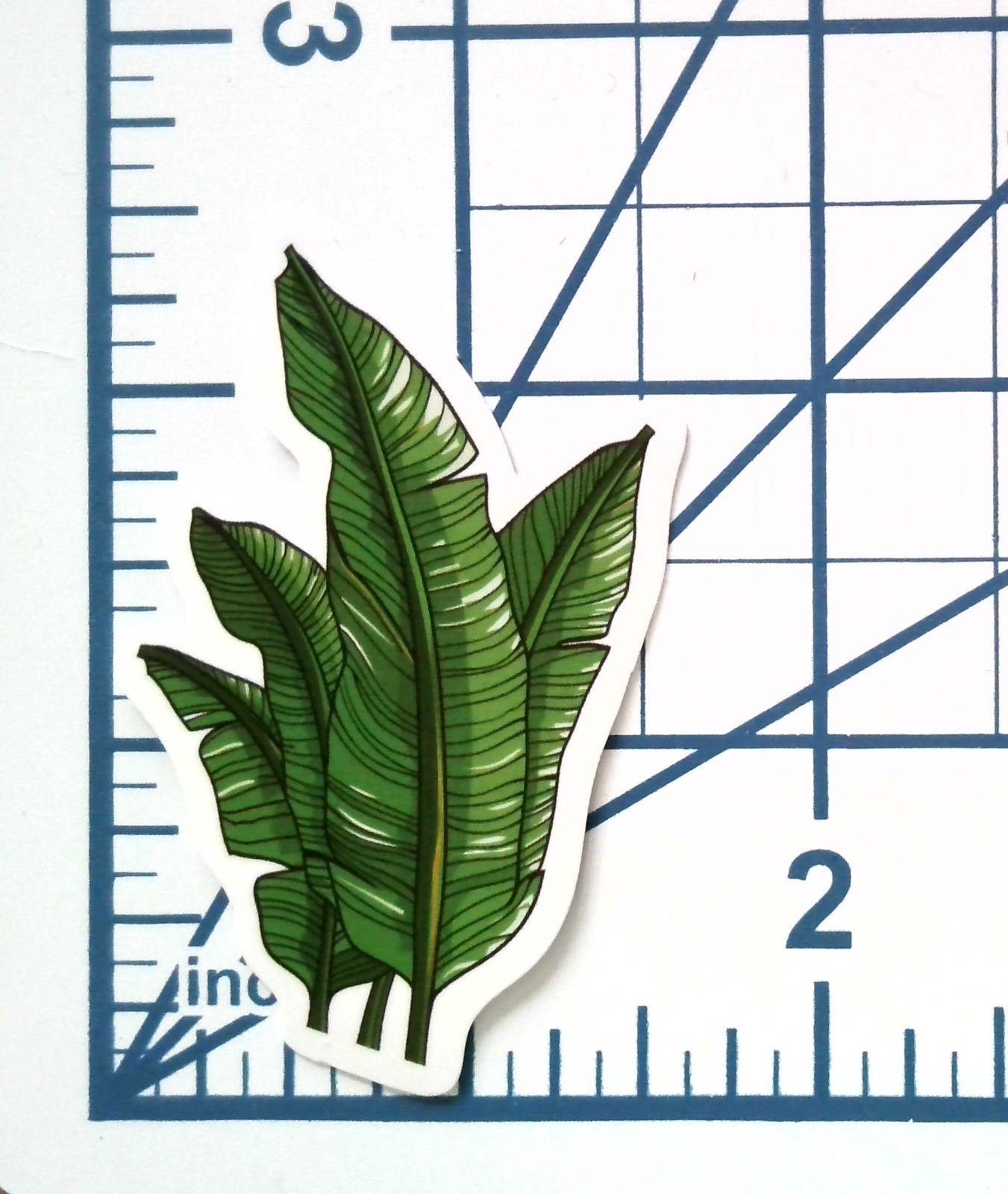 Vinyl Sticker Die Cut Banana Leaf Decal Tropical Foliage Bird of Paradise Laptop