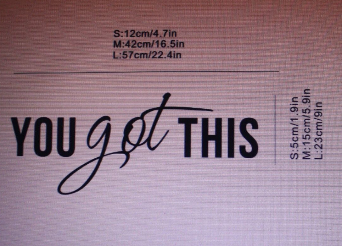 You Got THIS Motivational Vinyl Wall Art Decal Quote Words Lettering Decor Stick