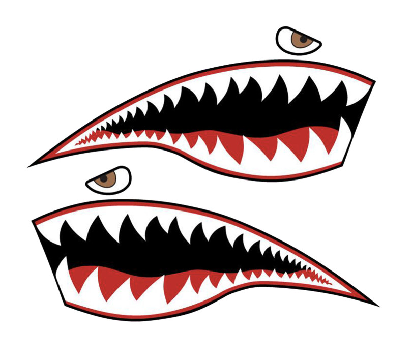 Shark Mouth Teeth Vinyl Sticker Decal Flying Tiger P40 Warhawk WW2 WWII Aircraft