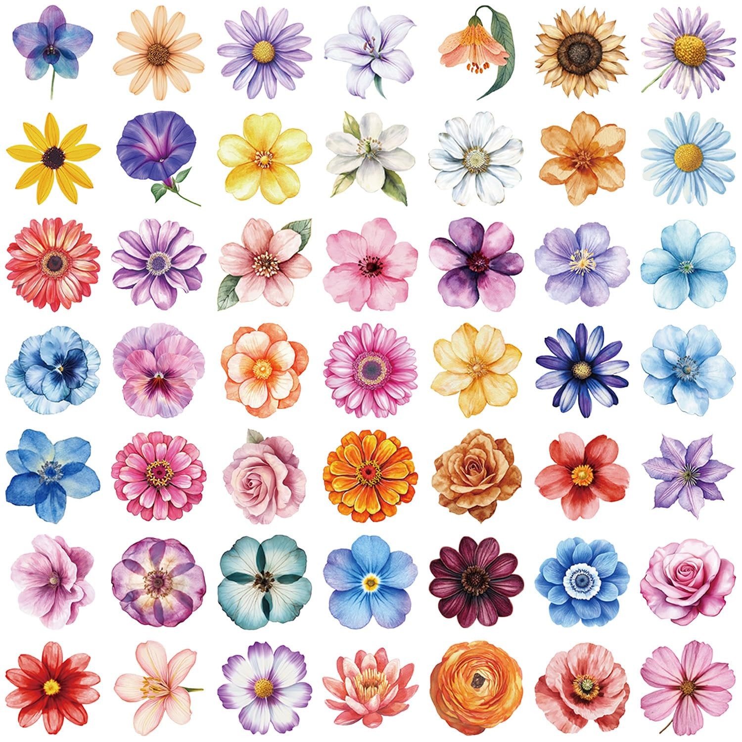 Colorful Flowers Aesthetic Transparent Stickers Pack 50PCS Natural