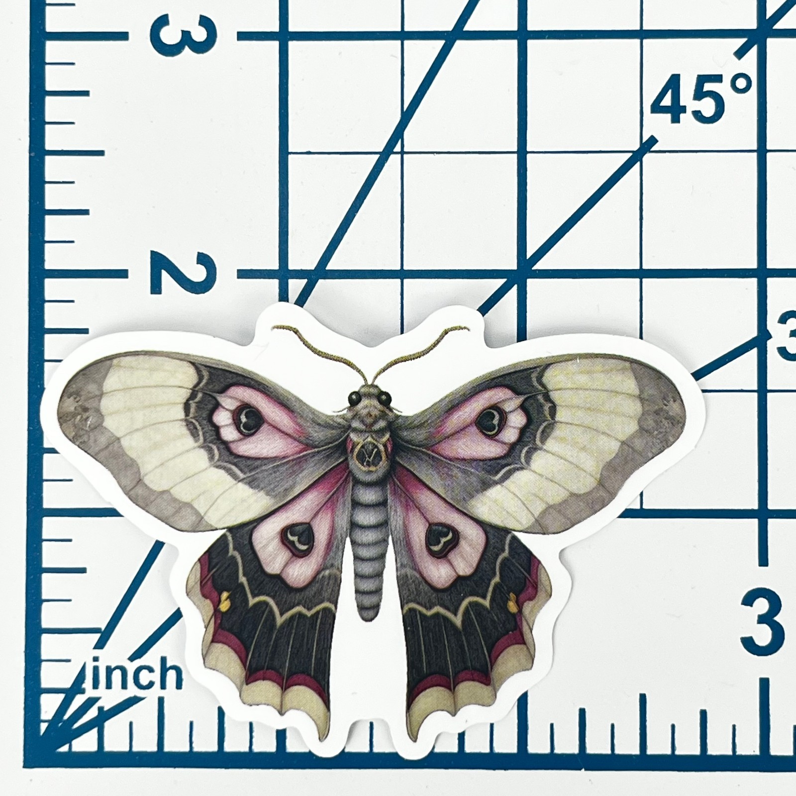 Mauve Charcoal Silk Moth Vinyl Sticker Vintage Pink Insect Journal Laptop Art