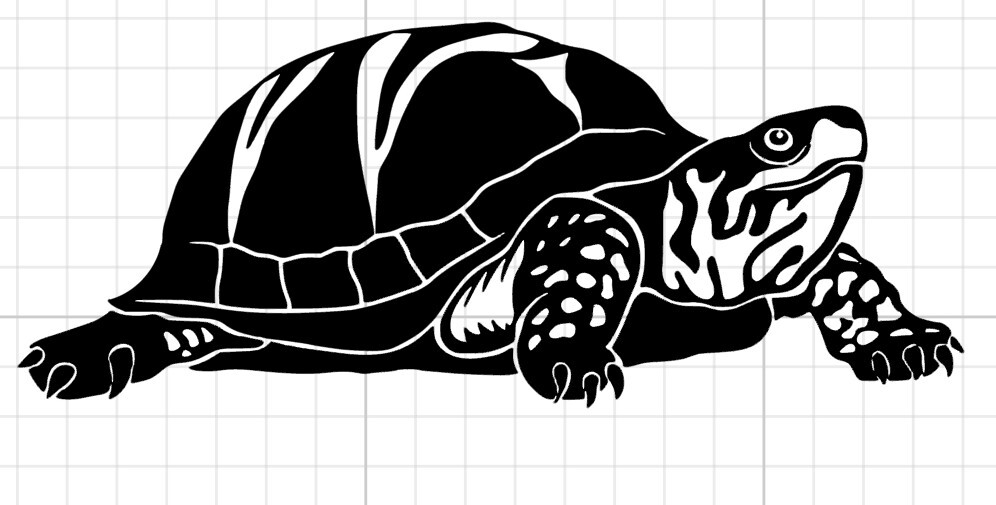 Turtle Decal