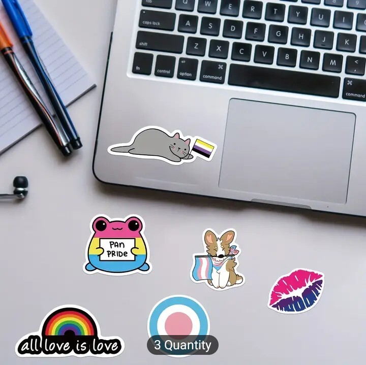 10 PCS Queer LGBTQ+ Gay Lesbian Pan Bi Trans Ace Pride Stickers Mix BRAND NEW
