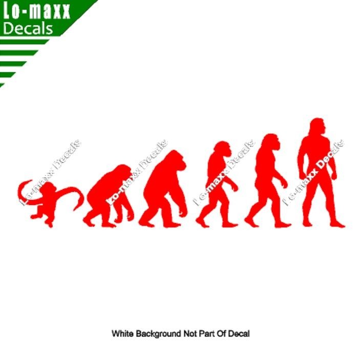 Evolution Of Barrel Of Monkeys Funny Ape To Man Vinyl Decal Sticker Art
