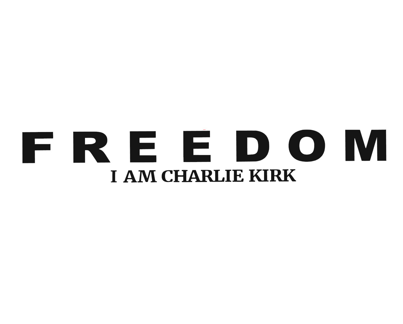 Charlie Kirk Freedom Decal Sticker Vinyl Tumbler Laptop Console Car Patriotic