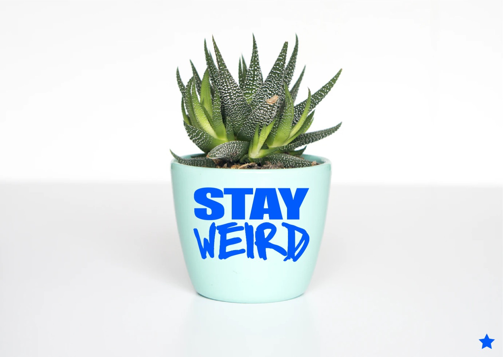 Stay Weird Decal Sticker Be Yourself Funny Calm Goofy Original Fun Life Crazy