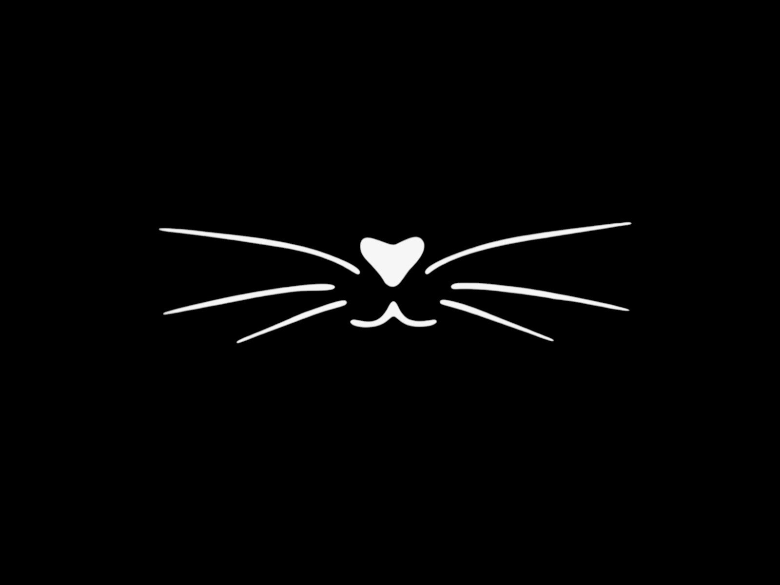 Kitty Whisker Decal for car Windows Laptops most Smooth Surfaces
