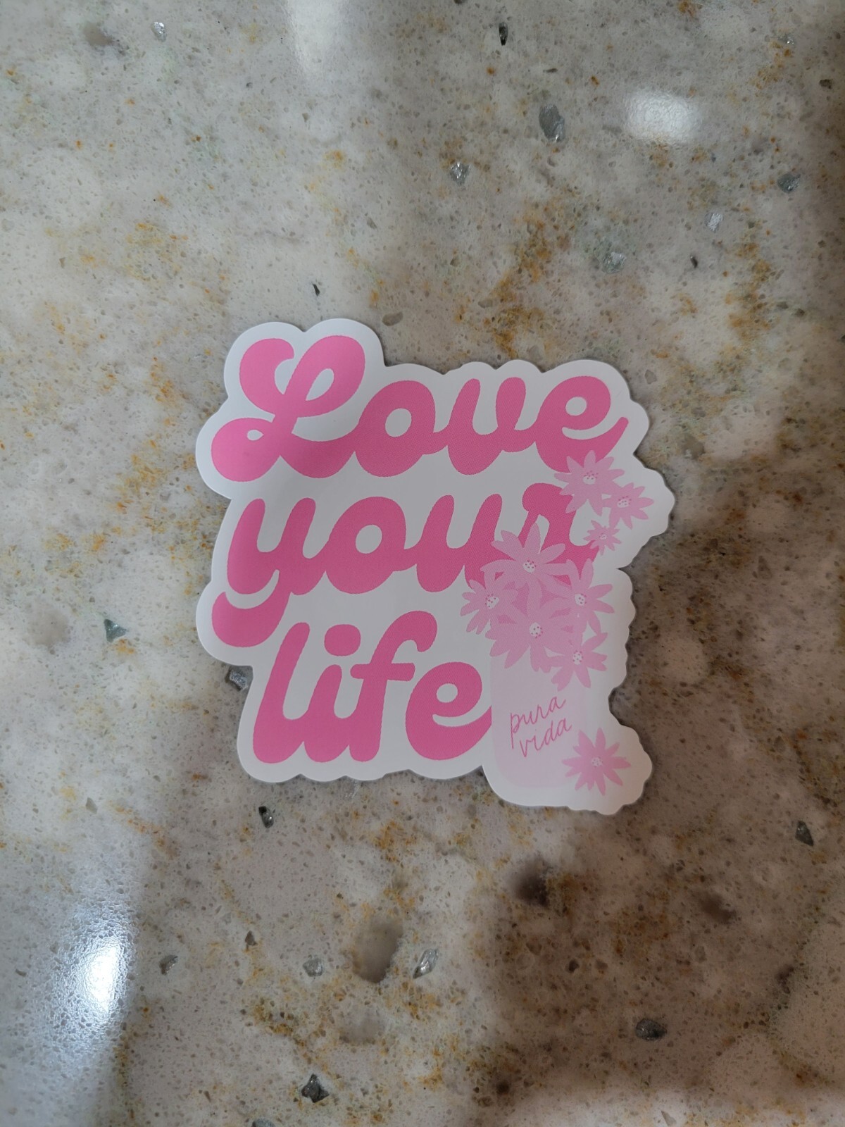New Pura Vida Love Your Life February 2023 Monthly Bracelet Club STICKER