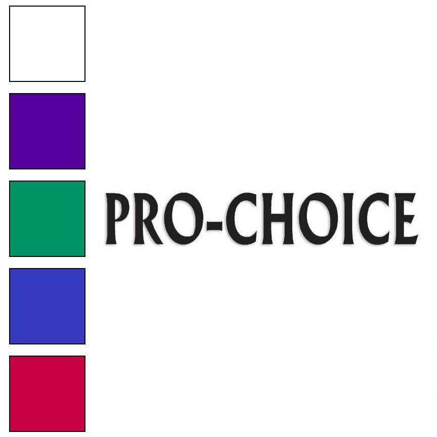 Pro Choice, Vinyl Decal Sticker, Multiple Colors & Sizes #2736