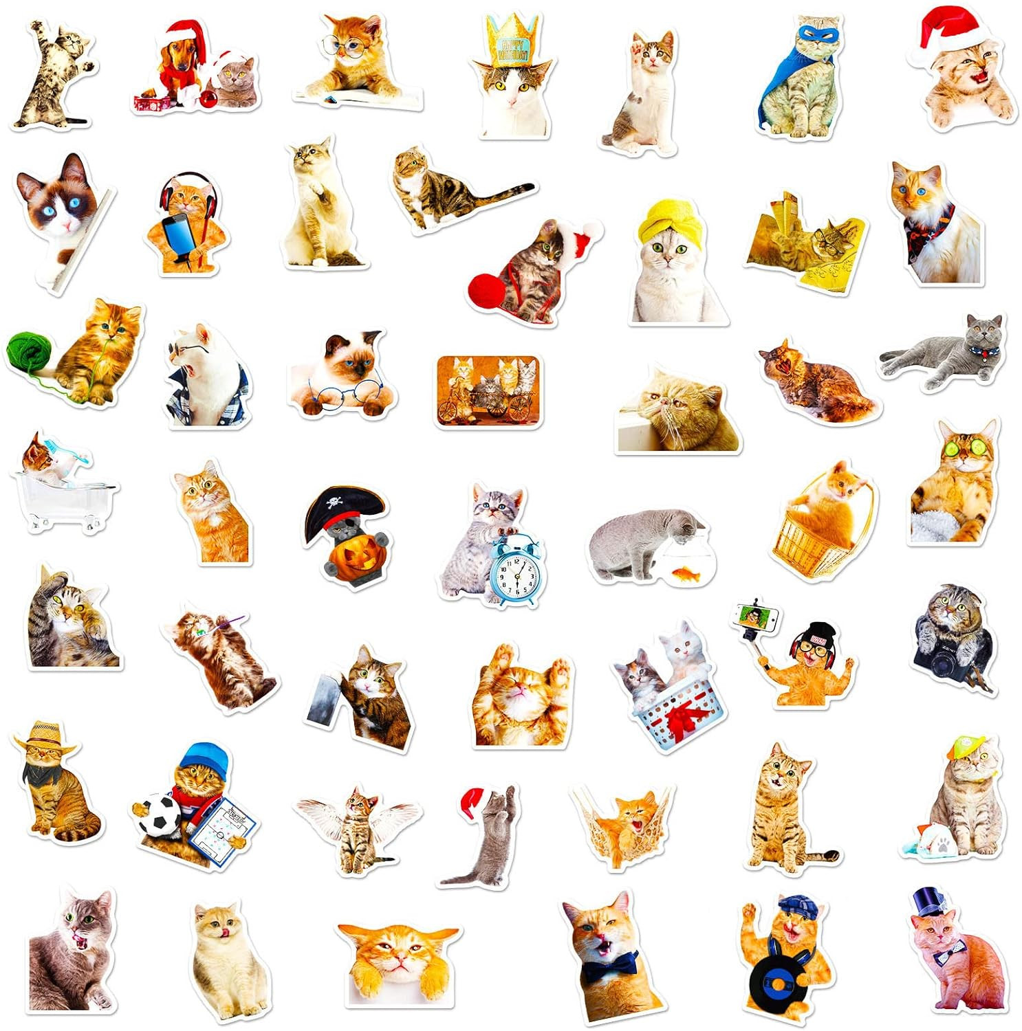 Cat Stickers for Kids Teens Girls Adults, 100 Pcs Cute Cat Stickers, Vinyl Water