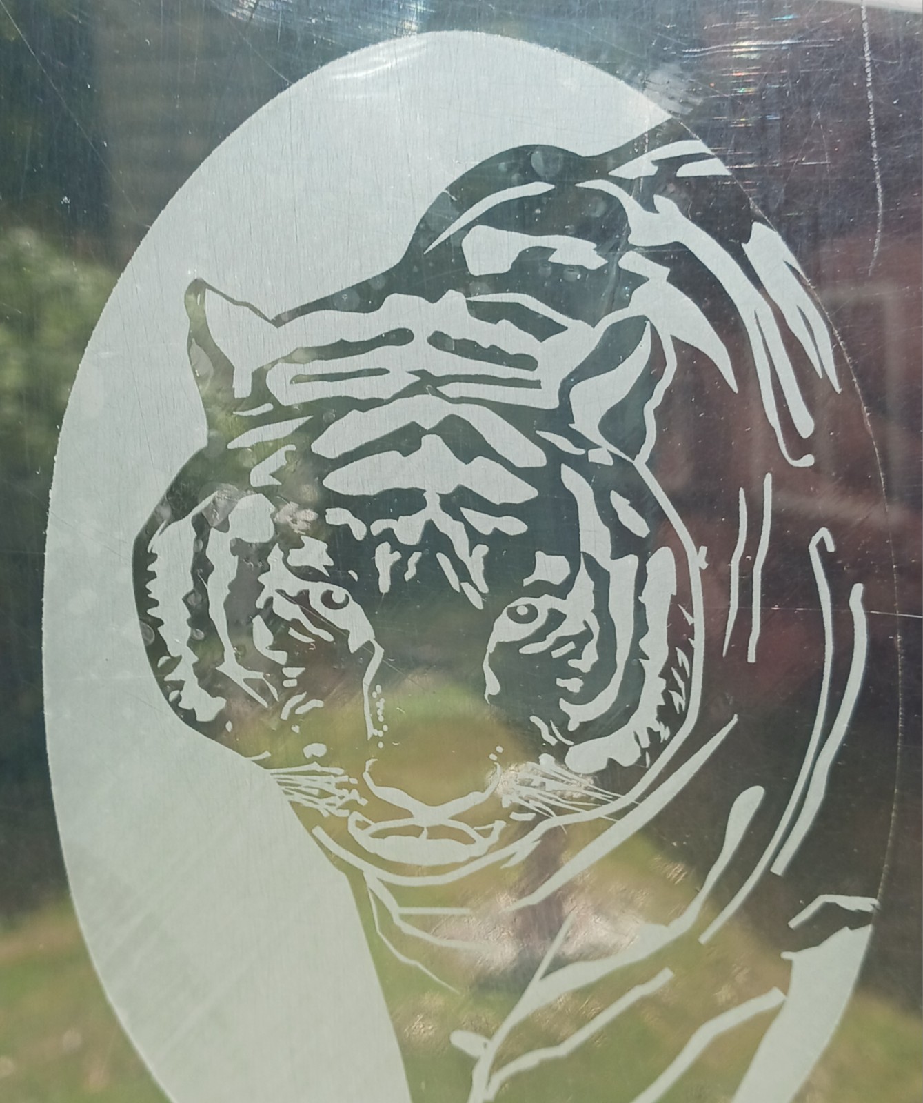Tiger Window Decal 4"x6" OVAL Etched Glass Look Cling Removable & Reusable 9
