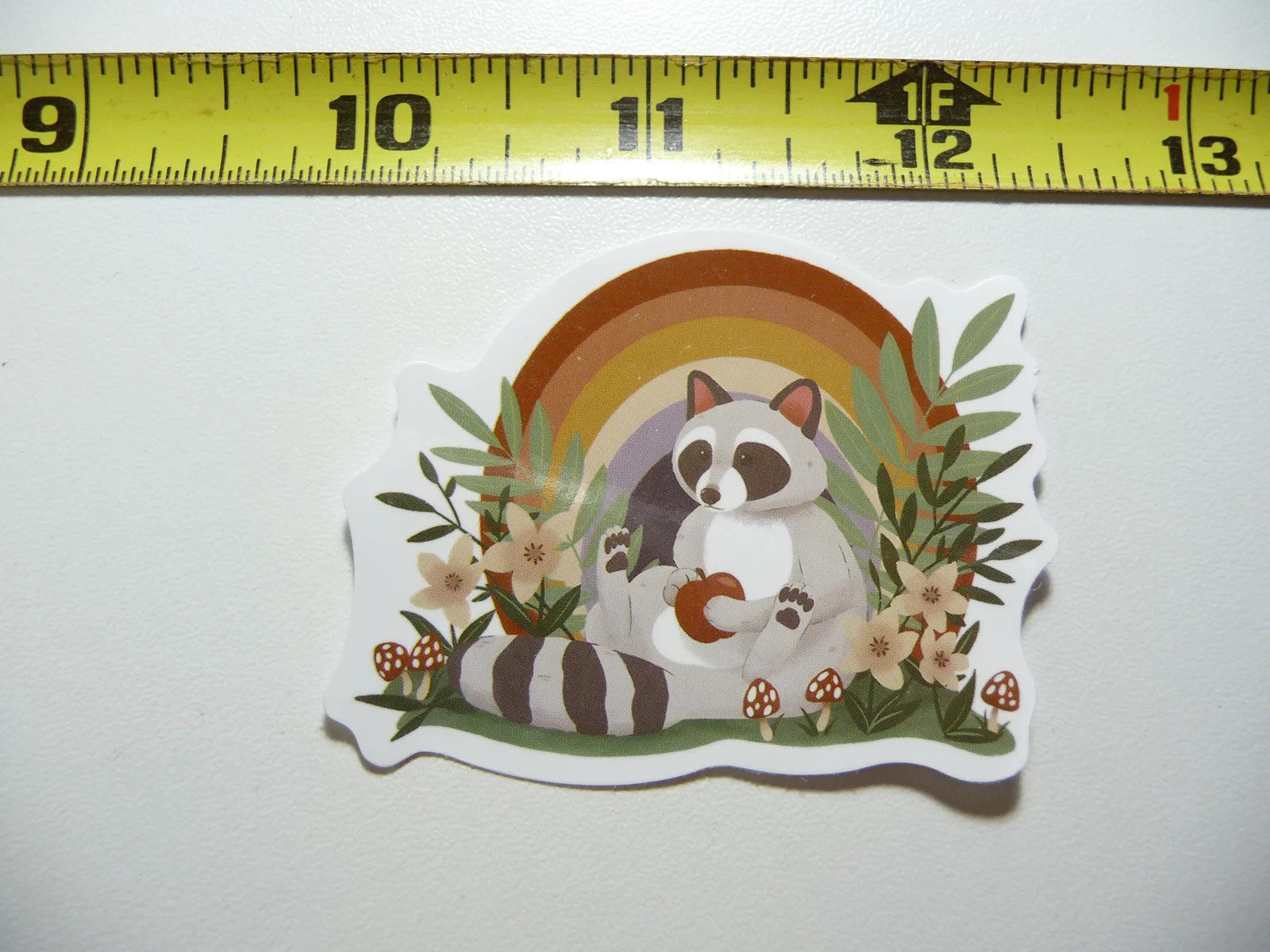 RACCOON SUN GARDEN APPLE SMALL STICKER DECAL WILD ANIMAL PET BANDIT MASKED
