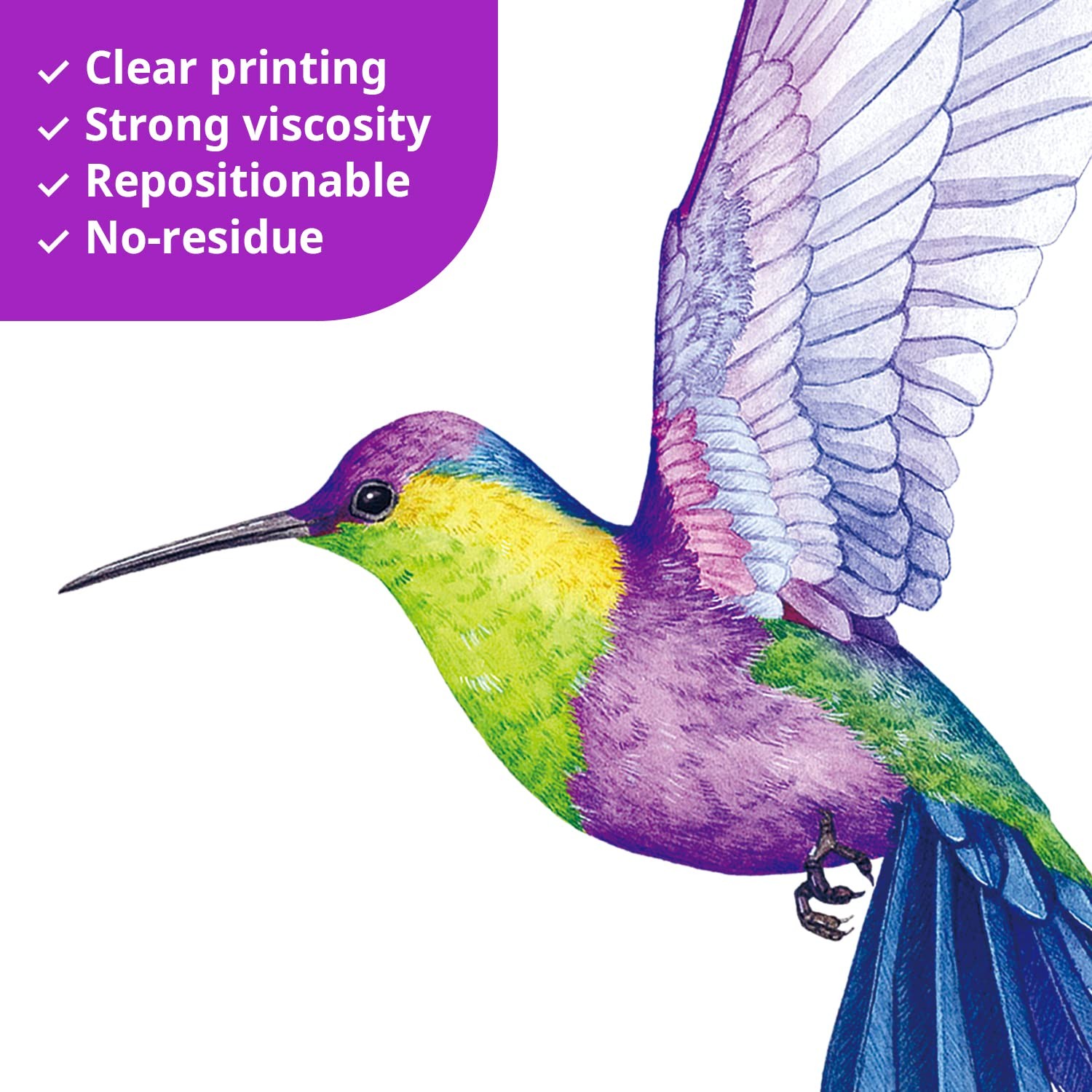 DS-8060 Tropical Flowers and Hummingbirds Wall Decals Stickers Room Bedroom L…